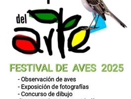 festival-de-las-aves