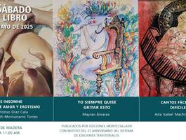 sabado-del-libro-editorial-montecallado