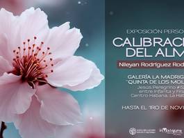 exposicion-personal-calibracion-del-alma