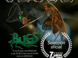 bugs43-festival-internacional-del-nuevo-cine-latinoamericano