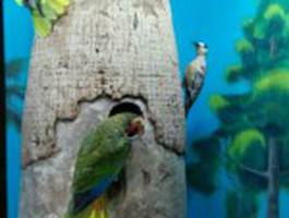 espacio-fijo-palabras-de-coral