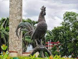 semana-de-la-cultura-moronera-serenata-al-gallo