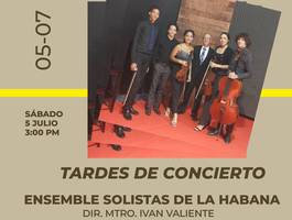 tardes-de-conciertos-con-solistas-de-la-habana