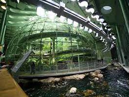 charla-los-museos-y-el-medio-ambiente