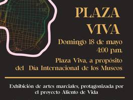 plaza-viva-por-el-dia-internacional-de-los-museos
