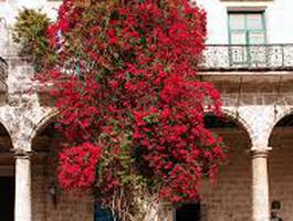 exposicion-fotografica-del-instituto-de-la-industria-fotografica-de-japon-jcii