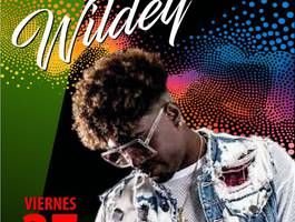 wildey-en-el-sauce