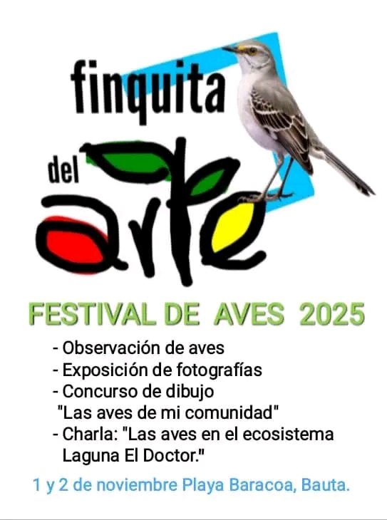 Festival de las aves festival-de-las-aves