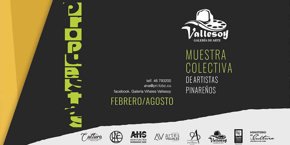 “Propuestas” en Galería Vallesoy de Pinar del Río propuestas-en-galeria-vallesoy-de-pinar-del-rio