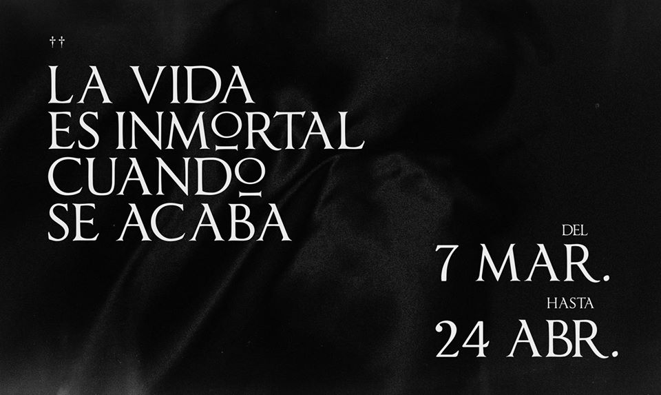 Exposición La vida es inmortal cuando se acaba de la artista visual Alejandra González. exposicion-la-vida-es-inmortal-cuando-se-acaba-de-la-artista-visual-alejandra-gonzalez