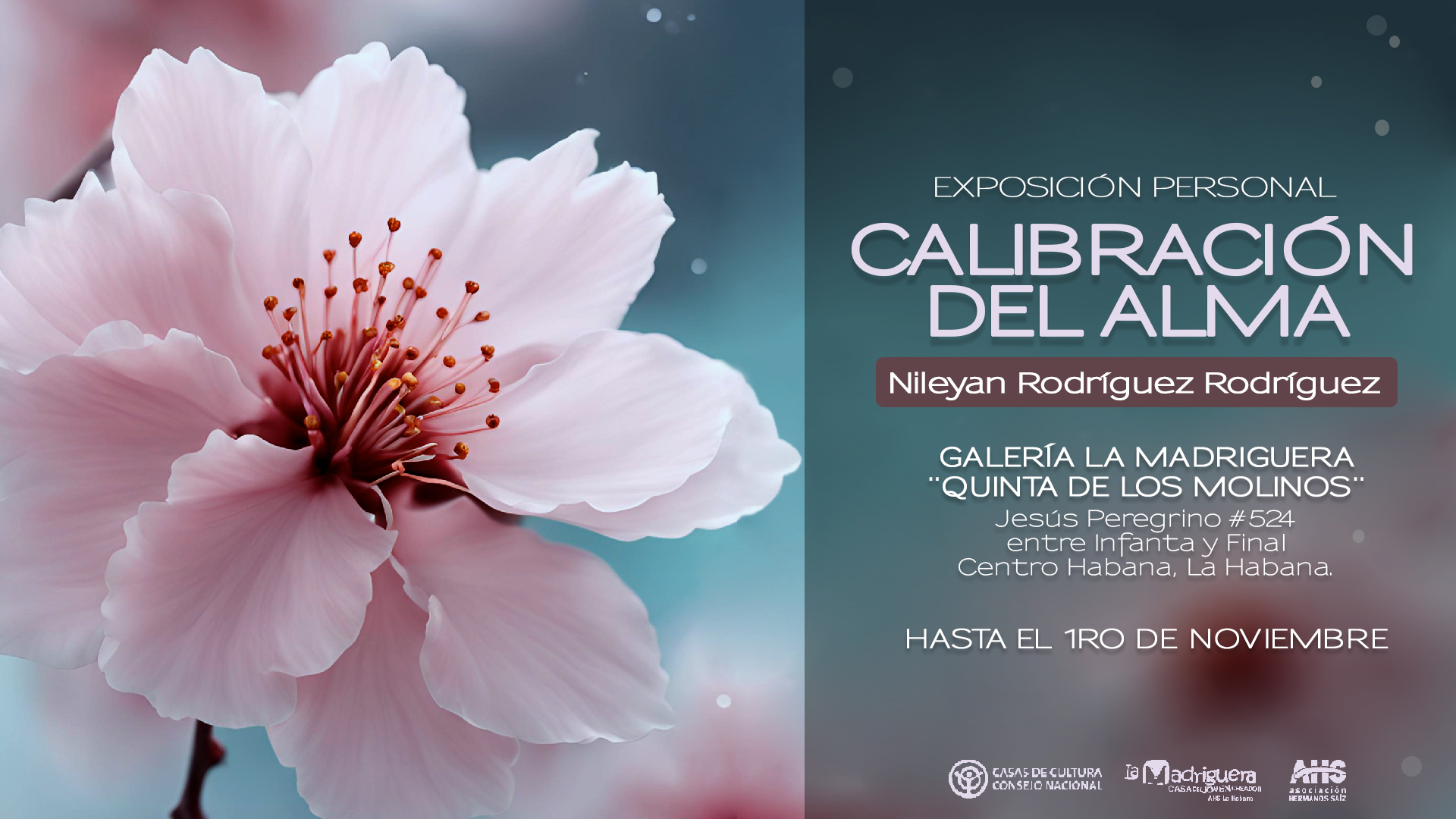 exposicion-personal-calibracion-del-alma