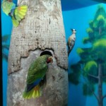 Espacio fijo: Palabras de Coral espacio-fijo-palabras-de-coral